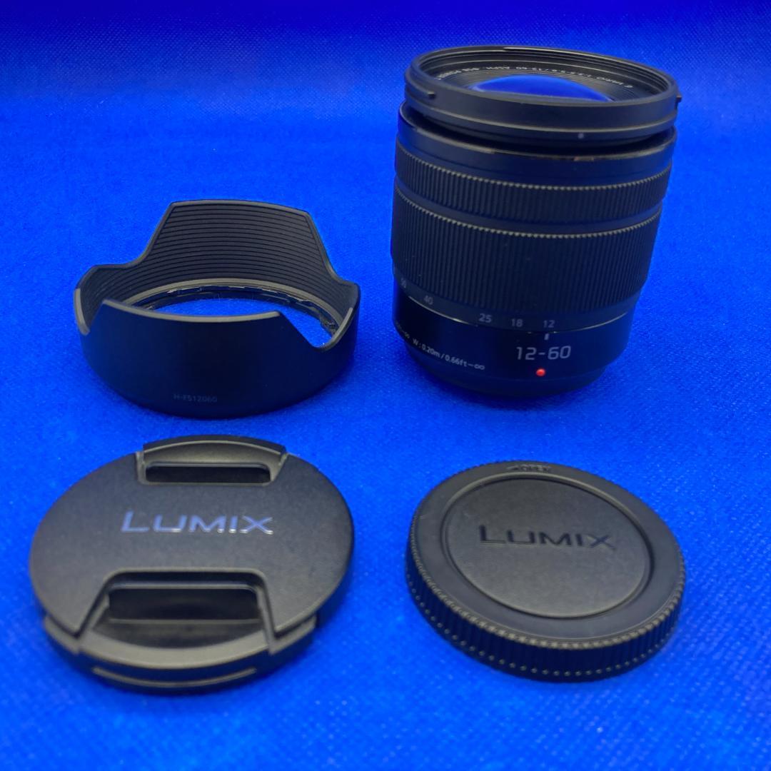 レンズ(ズーム) Panasonic LUMIX G VARIO 12-60mm F3.5-5.6