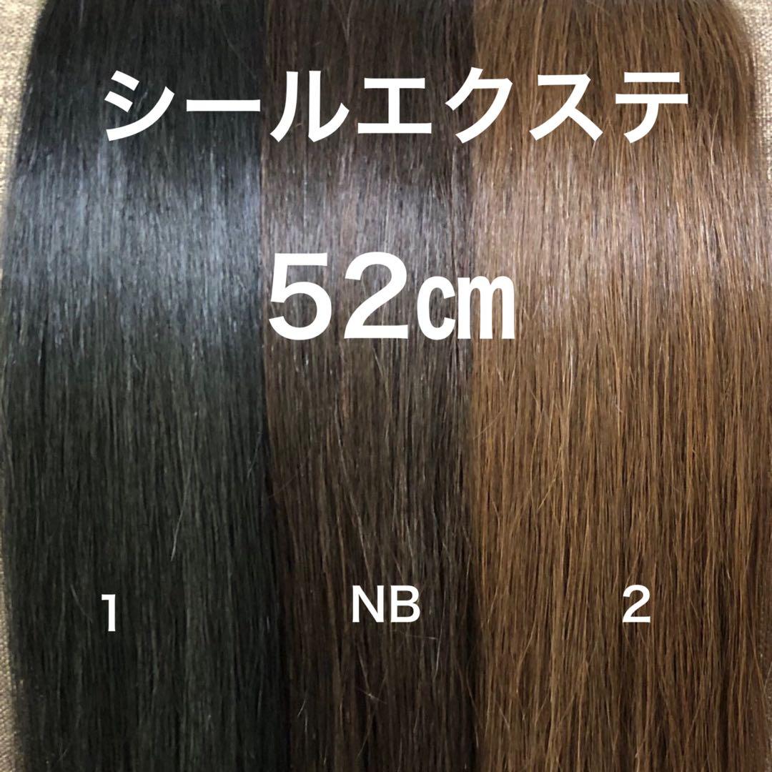 シールエクステ 52 ロングストレート　カラーエクステ