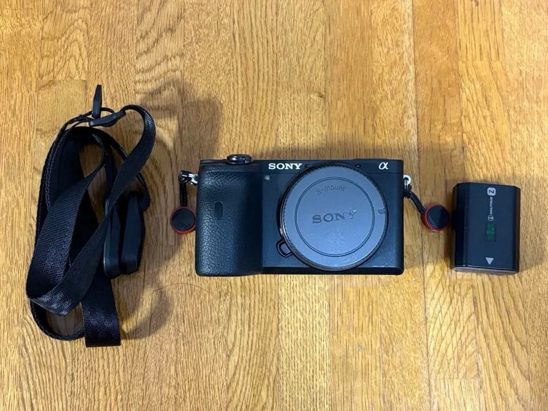 SONY α6600 カメラ本体
