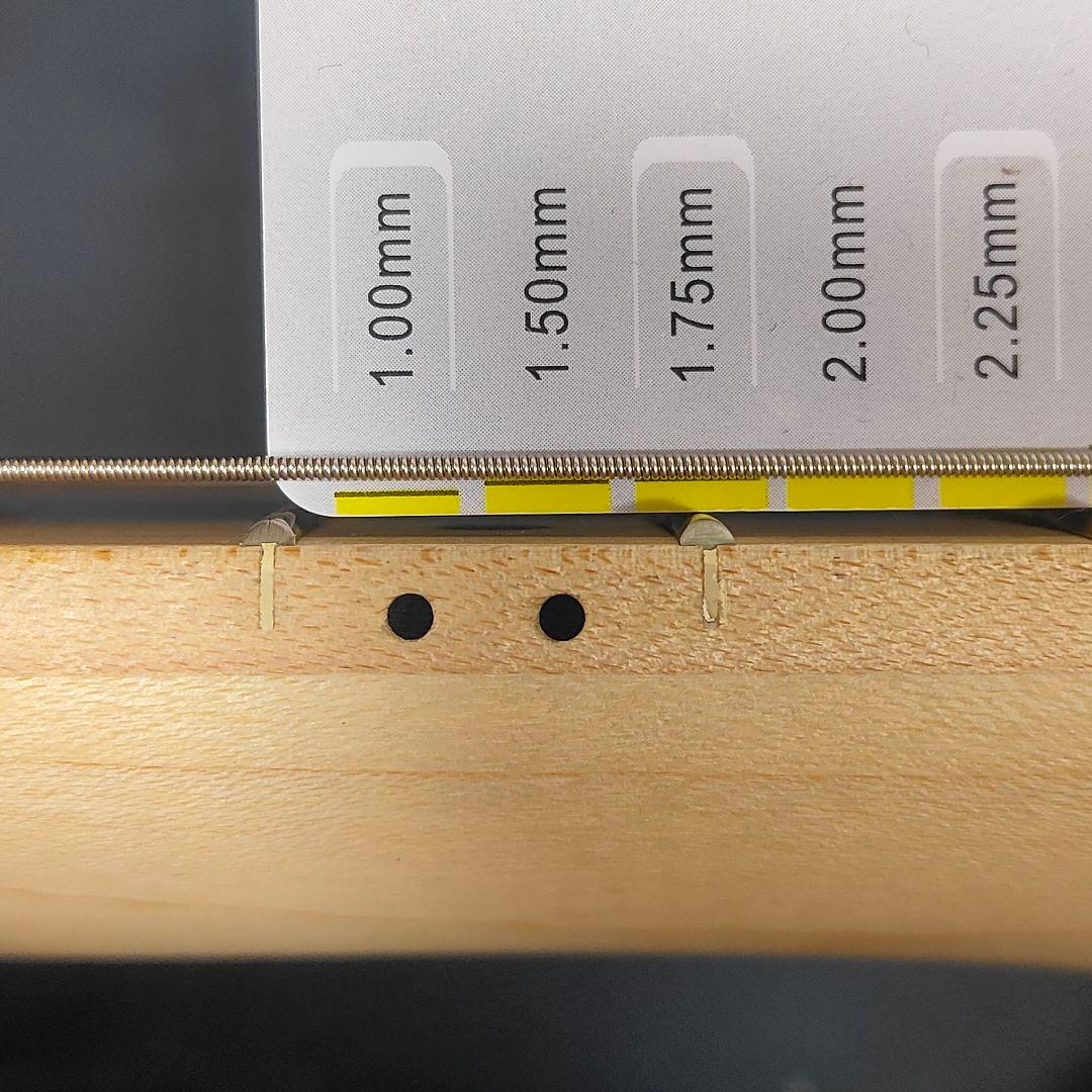 TRAVELER GUITAR Travelcaster トラベルギター