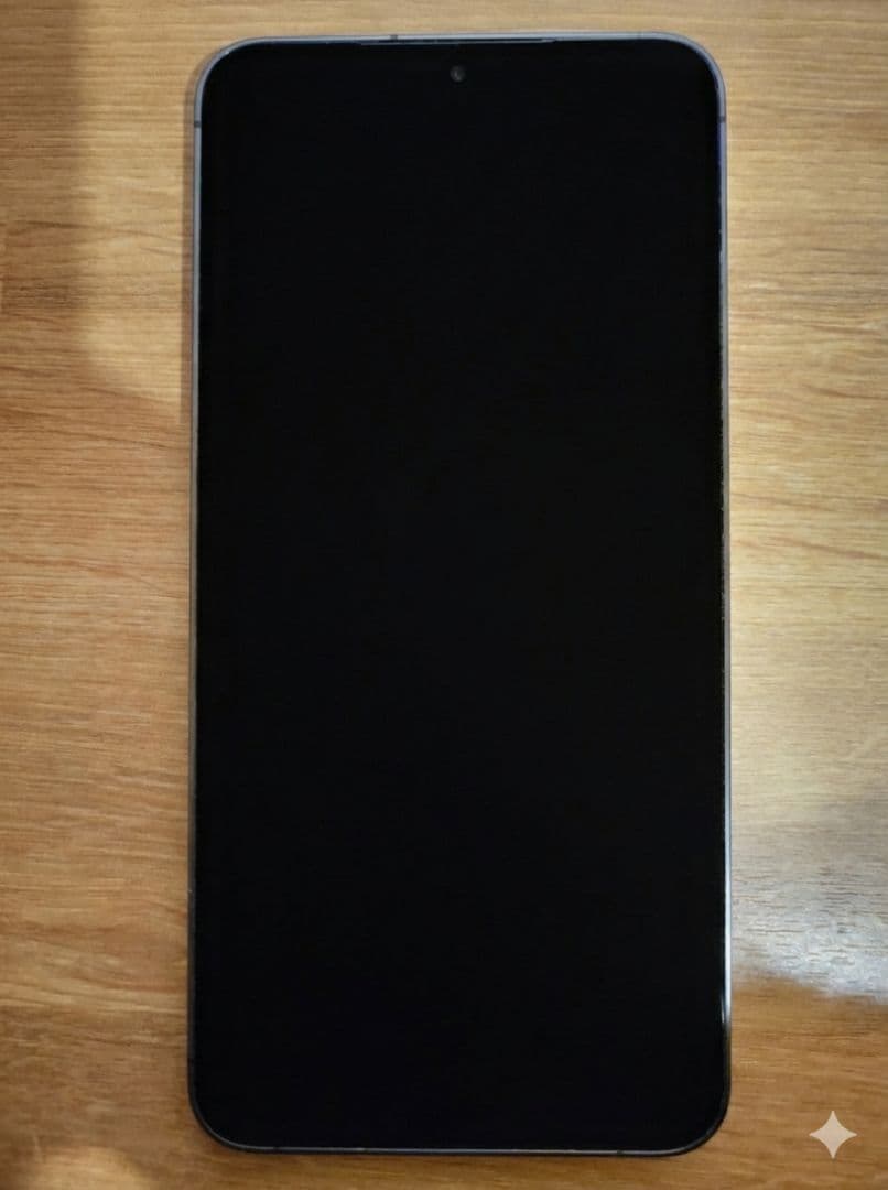 Samsung Galaxy S24+ 256GB 韓国版 SIMフリー