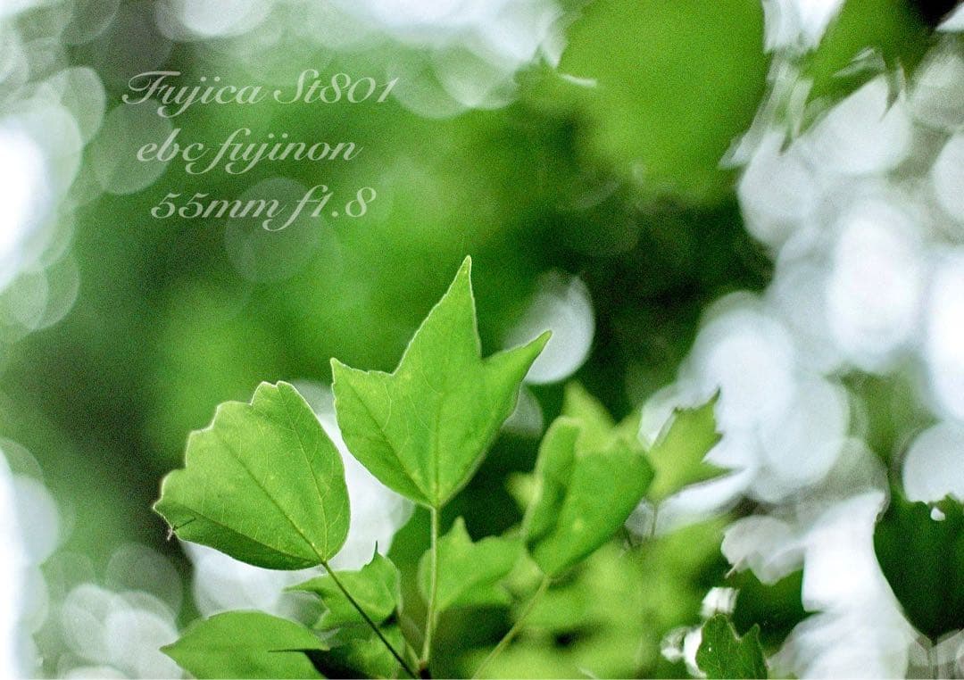 ★完動品＊美品★fujica st801／fujinon f1.8★初期保証