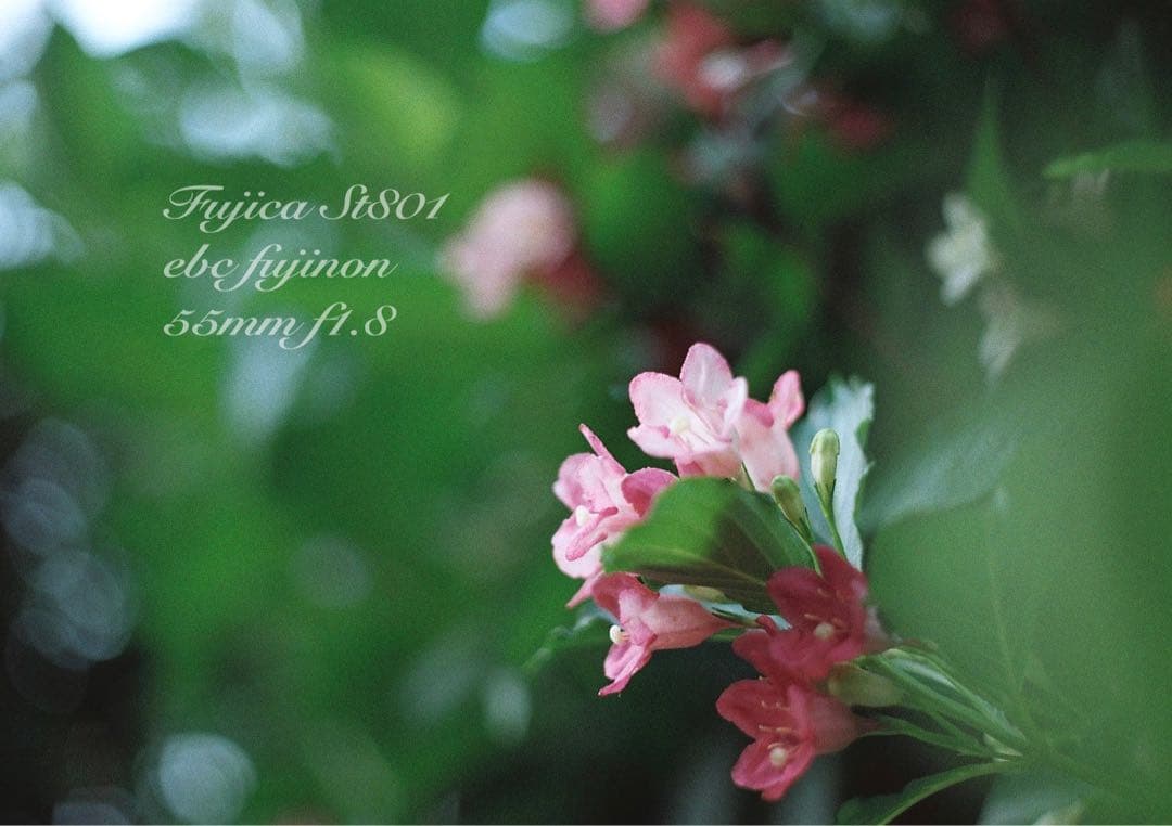 ★完動品＊美品★fujica st801／fujinon f1.8★初期保証