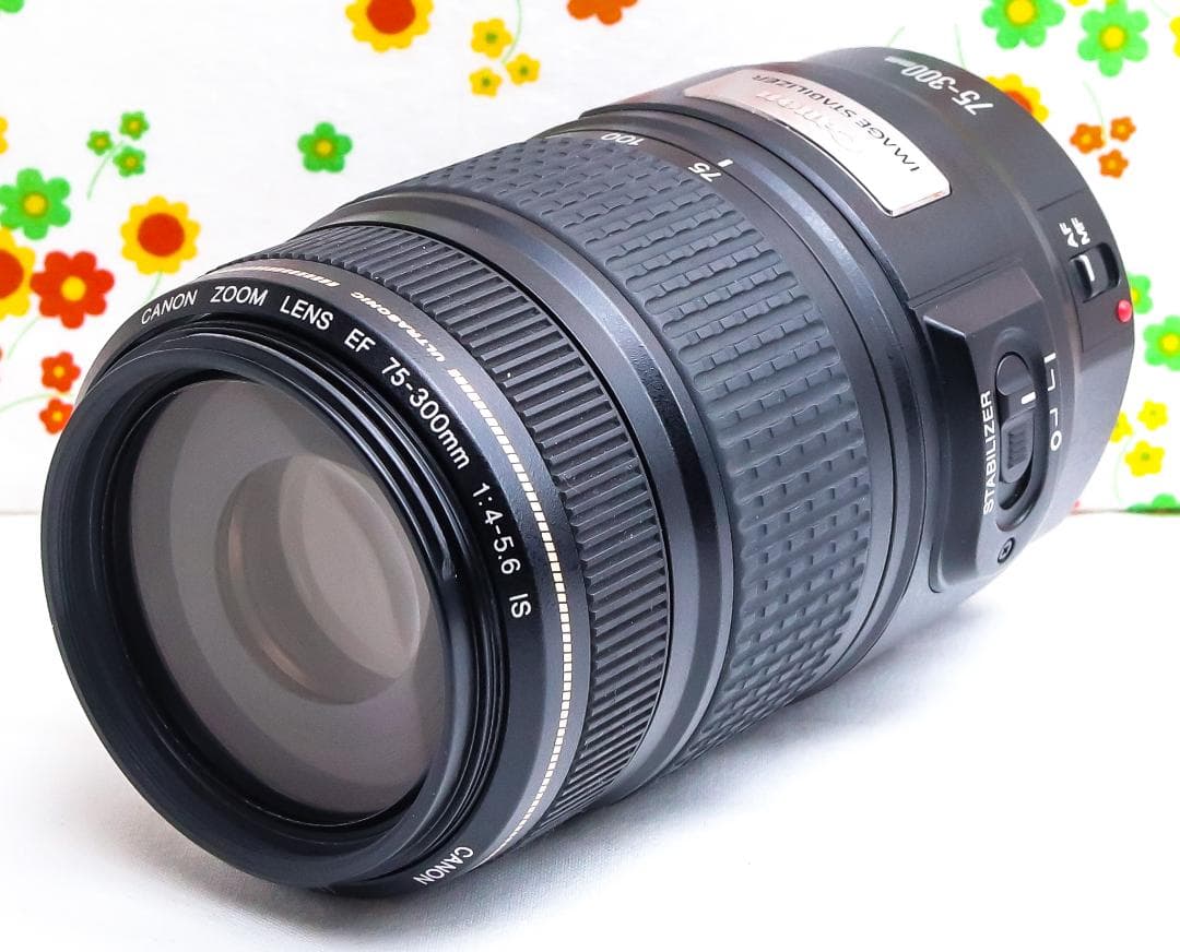 美品 Canon EF 75-300mm IS USM☆望遠レンズ☆フィルター付