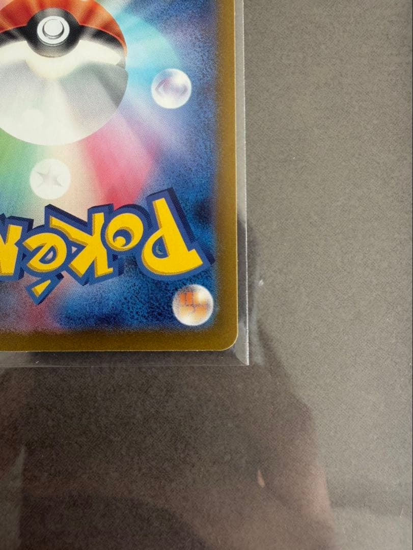 タケルライコSAR ✖︎２枚