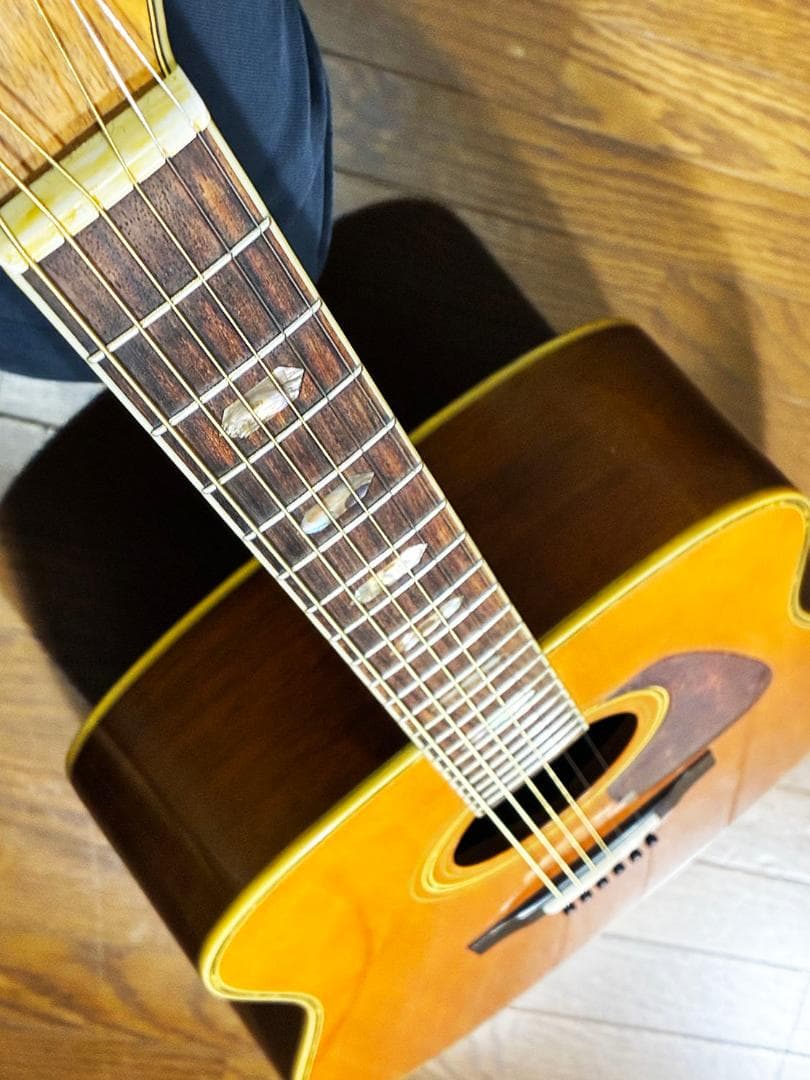 RYamA様・激鳴りハカランダ！モーリスTF-50 低弦高調整済み 試聴動画有り