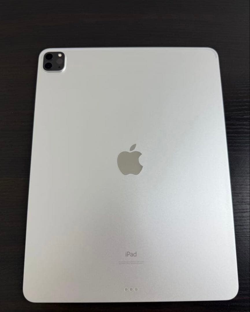 【美品・動作確認済】iPad Pro 12.9インチ 第4世代 256GB