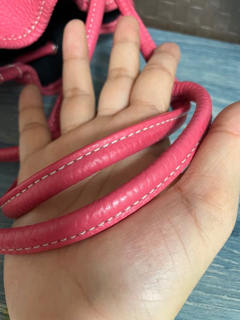 極美品Vasic Bond MiniMiniピオニー限定色 2way バッグ