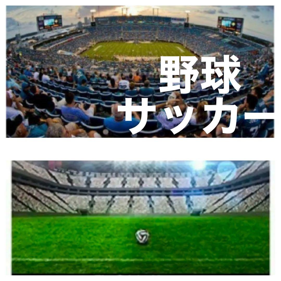 新品！即決OK！OLYMPUSとPanasonic用望遠レンズ！アダプター付き！