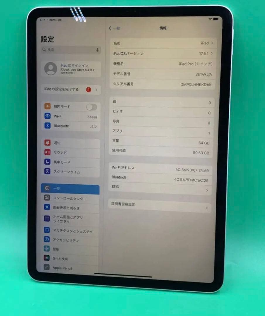 Apple iPad Pro 11インチ第1世代Wi-Fiモデル 最大容量99%