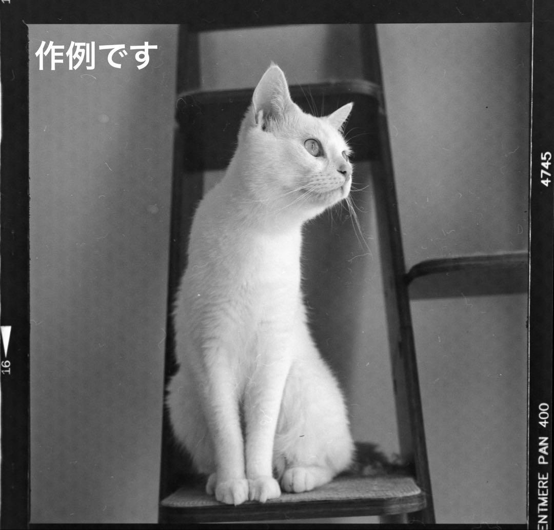 【美品】ローライコード　ROLLEICORD Ⅳ ウエストレベルファインダー