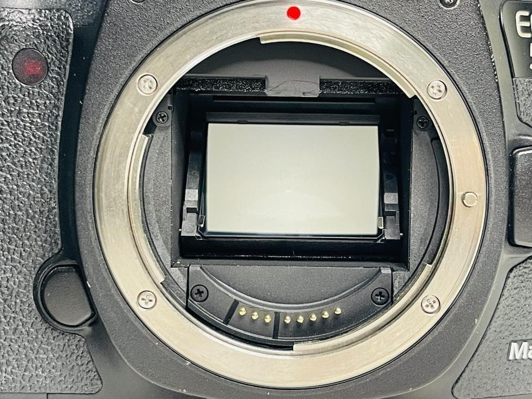 Canon EOS 5D Mark III ボディ キヤノン 一眼レフ カメラ