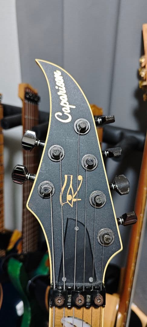 ギター Caparison Horus M3