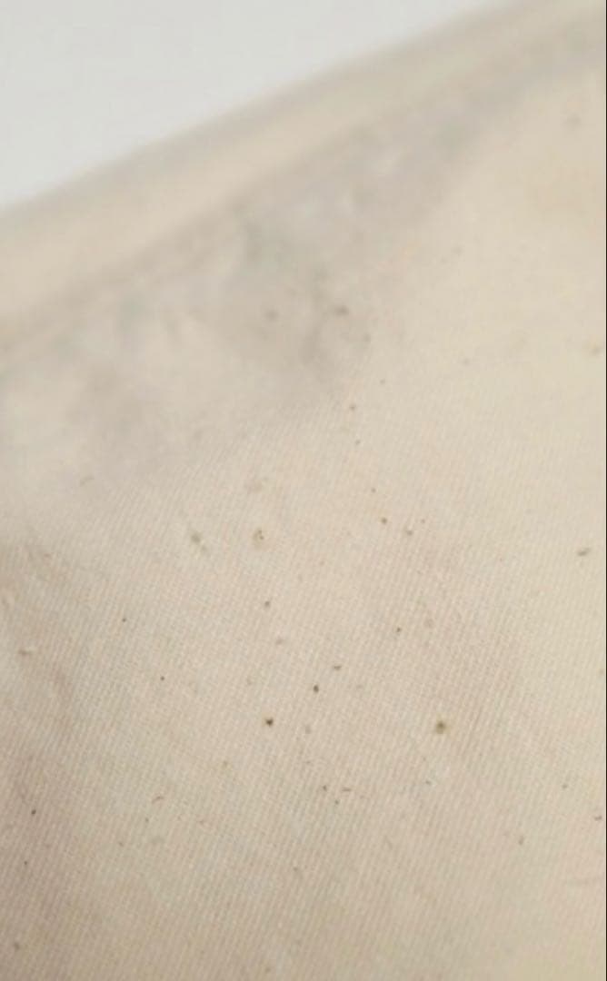 【新品未使用】OMNIGOD ネップツイルイージーパンツ生成り　サイズ2