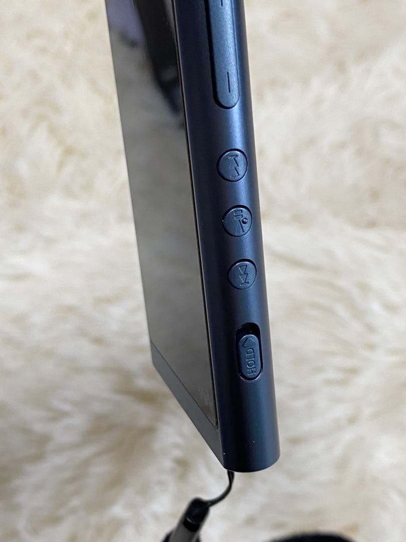 【極美品】【動作OK】SONY ウォークマン NW-A55 付属品完備 SD付