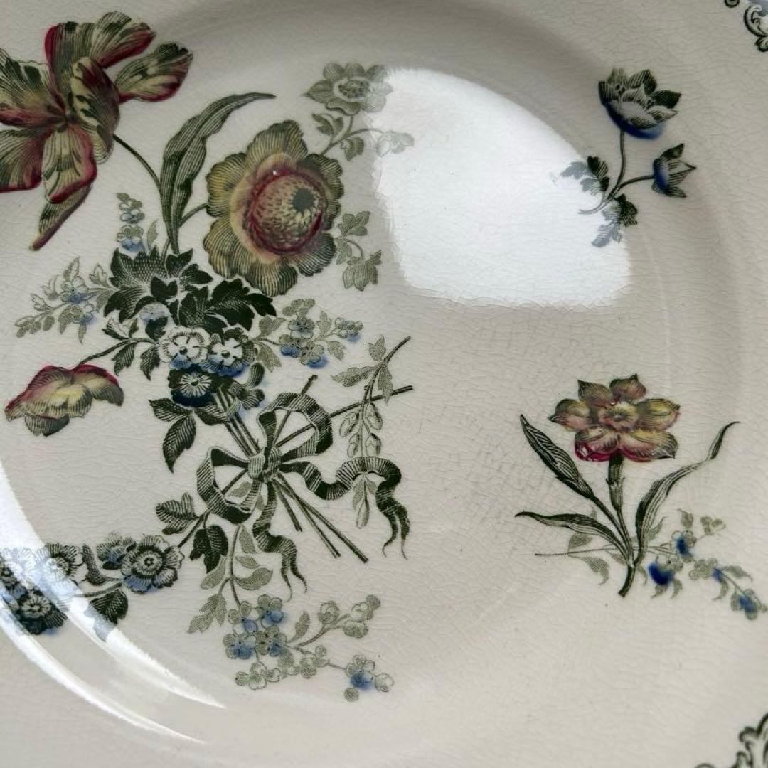 サルグミンヌ　フォンタンジュ　多色　ディナープレート