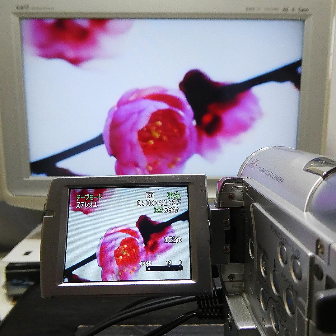 動作良好 キャノン IXY DV M3 MiniDVビデオカメラ DVD化に最適