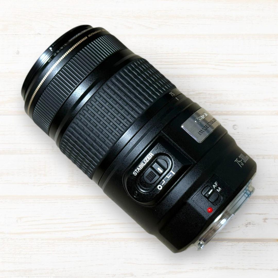 Canon 望遠レンズ EF 75-300mm IS USM #137