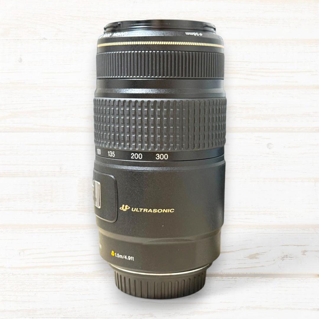 Canon 望遠レンズ EF 75-300mm IS USM #137