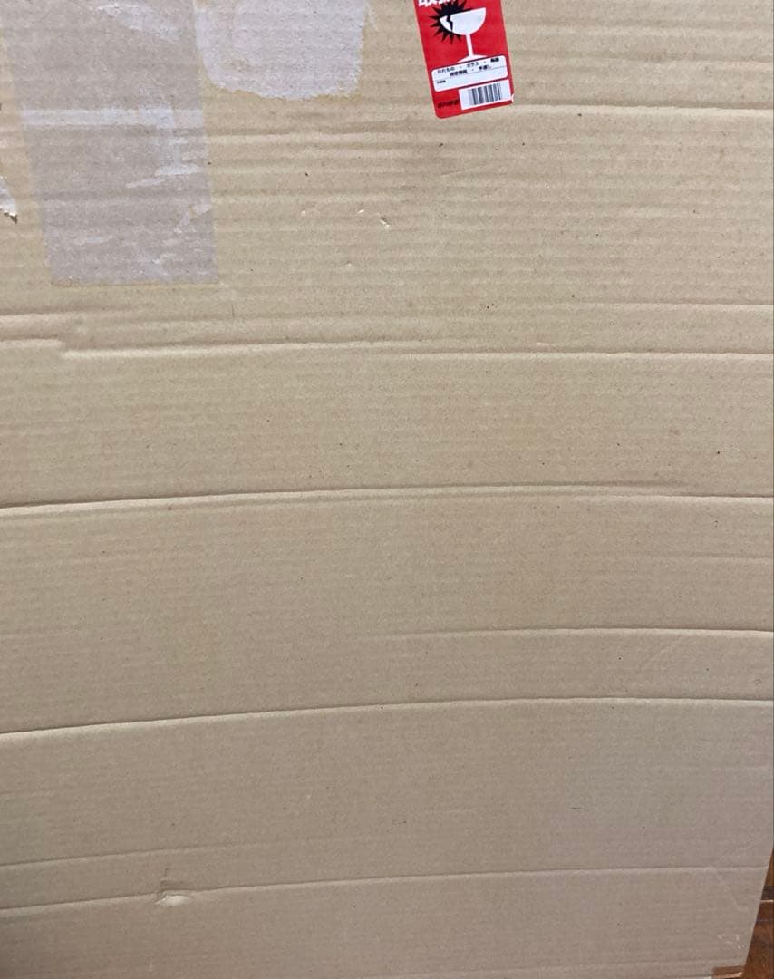 カイロプラクティック　人体神経系統図パネル 自律神経系統図パネル2枚セット