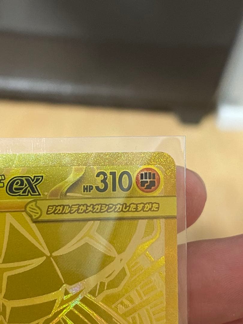 メガジガルデex MUR(おまけ有)