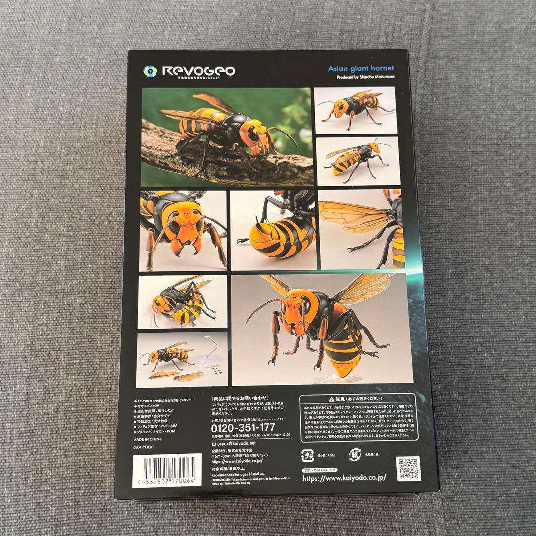 ‼️希少‼️ 海洋堂 リボジオ オオスズメバチ 標本