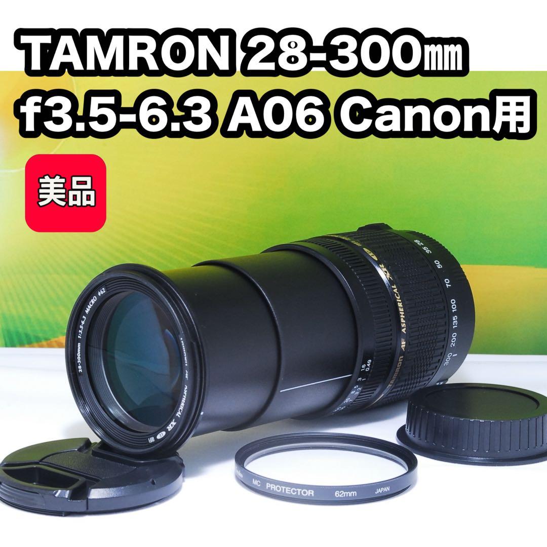 美品✨これ1本でOK✨TAMRON 28-300mm A06 Canon