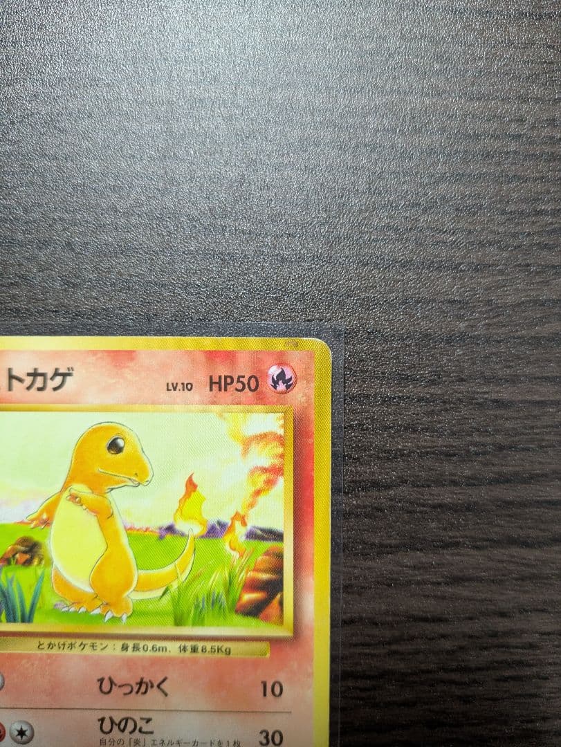 【旧裏】かえんリザードン &ヒトカゲ　★ 第1弾拡張パック