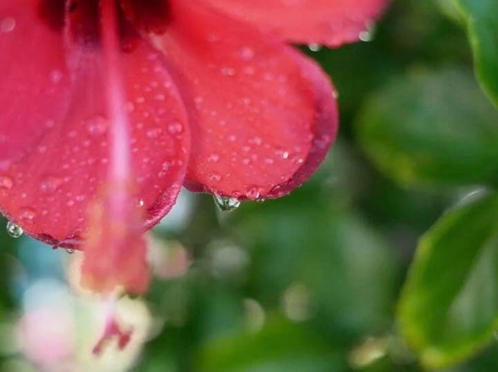 インスタ映え！写真が上達！単焦点レンズ！サードパーティレンズ 25mm F1.8