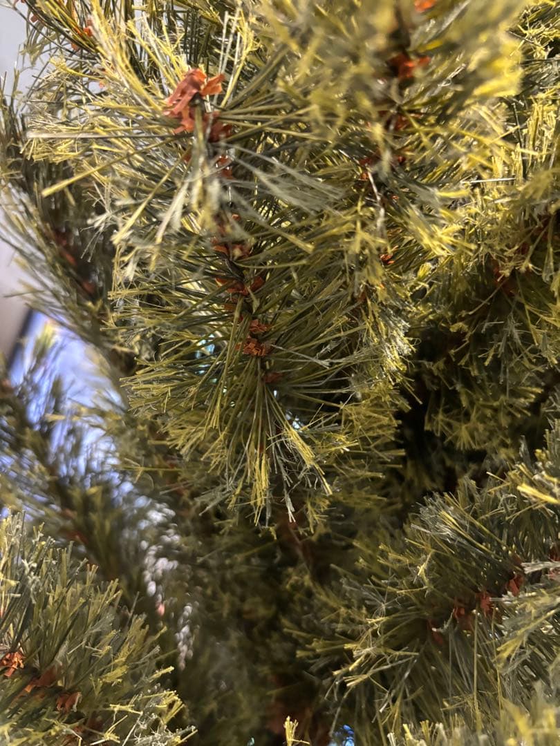 2024年度　Alsace アルザス クリスマスツリー 180 cm