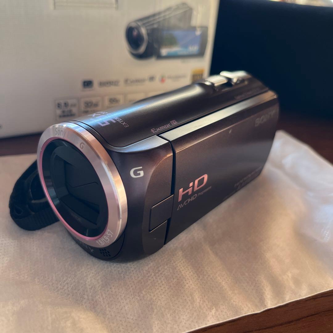 ビデオカメラ SONY Handycam HDR-CX390