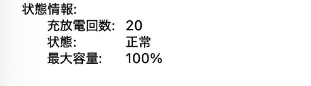 AppleCare+ バッテリー100% MacBook Air 15 M2