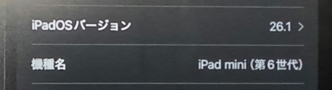 iPad mini6 第6世代 64GB WiFi