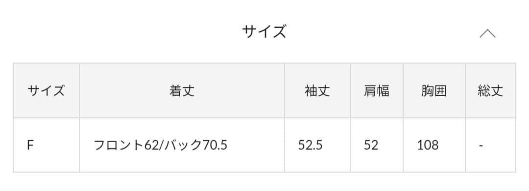 バックスリットブラウスTee ホワイト ガリャルダガランテ