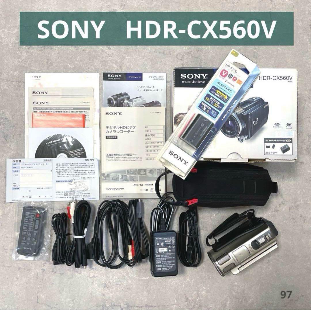 SONY ビデオカメラ HDR-CX560V ハンディカム カメラ バッテリー