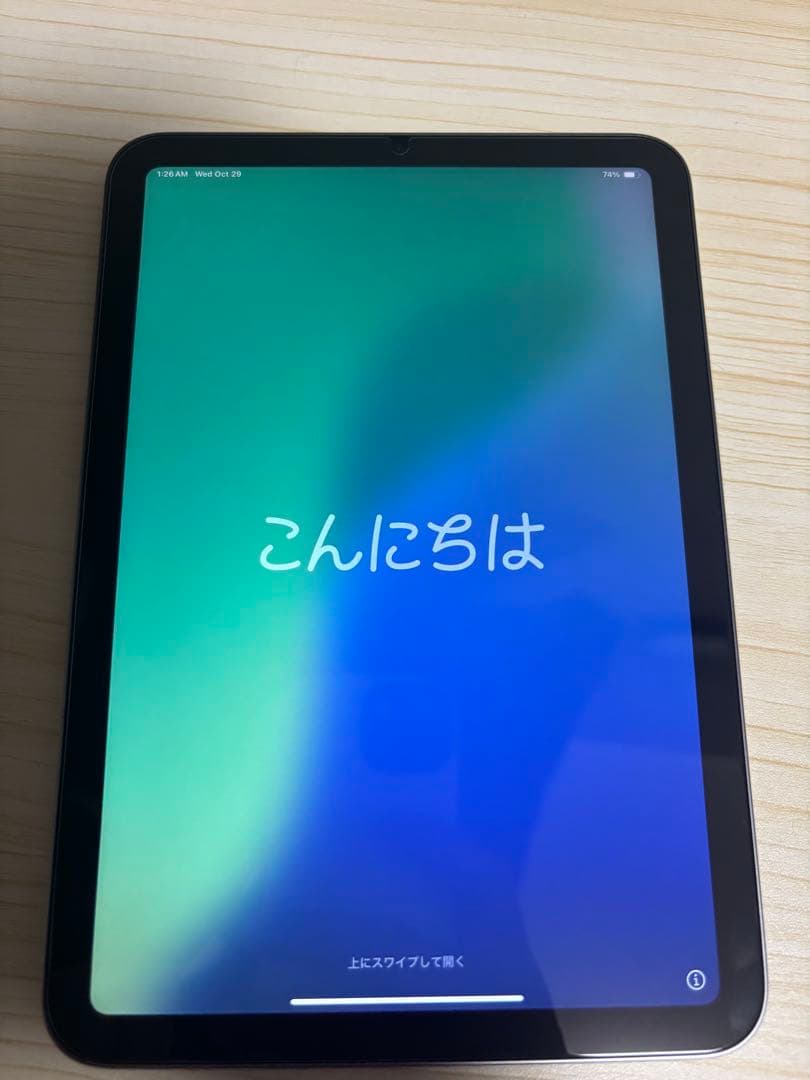リーヌ　iPad mini スペースグレー 本体　128g