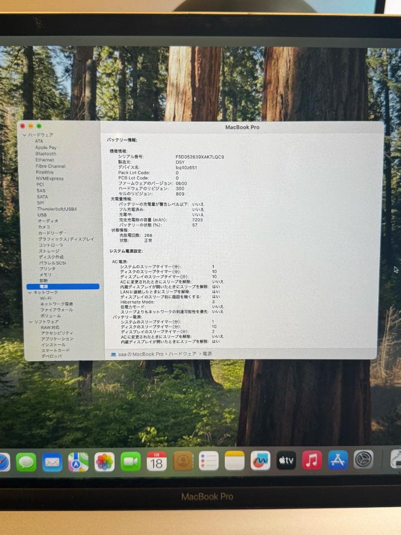 MacBook本体 MacBook Pro Intel /i9/16GB/1TB