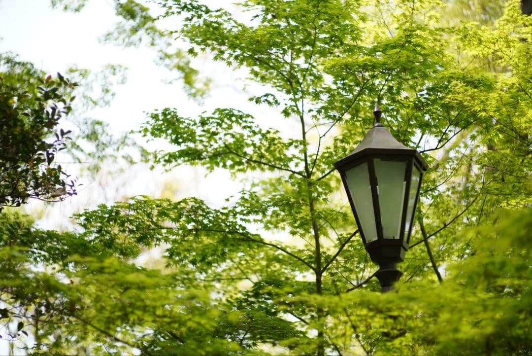 【分解清掃済】Nikon NIKKOR-H.C Auto 85mm f1.8