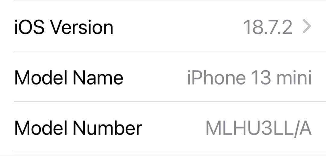 Apple iPhone 13 Mini 256GB - (アメリカ型)