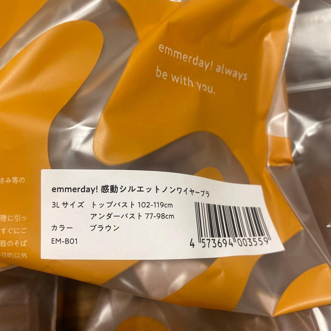 ak emmerday3L ブラジャーショーツセット 5セット