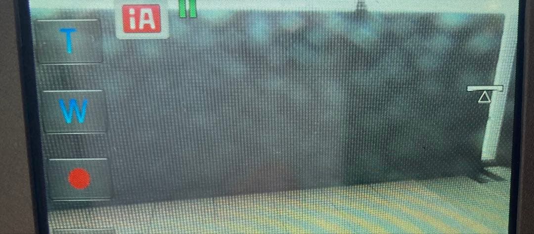 RS　ジャンク品 ビデオカメラとソニーカメラ