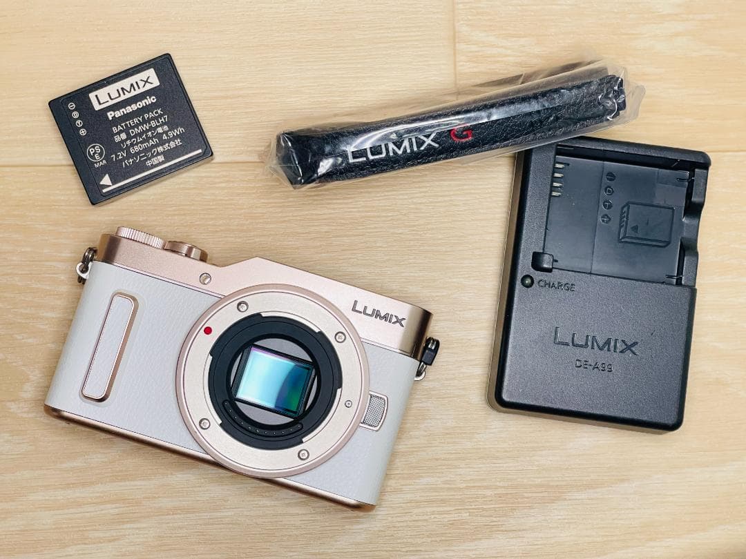 ショット数6470回 美品 Panasonic LUMIX DMC-GF10