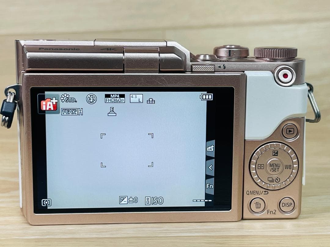 ショット数6470回 美品 Panasonic LUMIX DMC-GF10