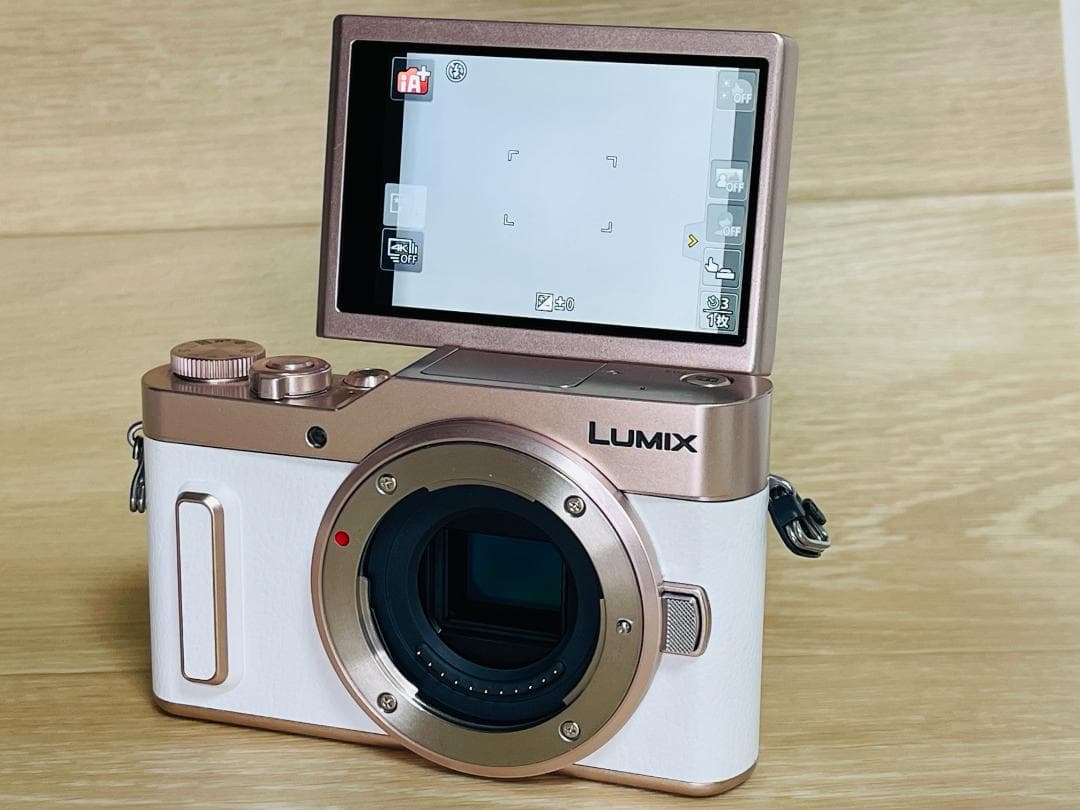 ショット数6470回 美品 Panasonic LUMIX DMC-GF10