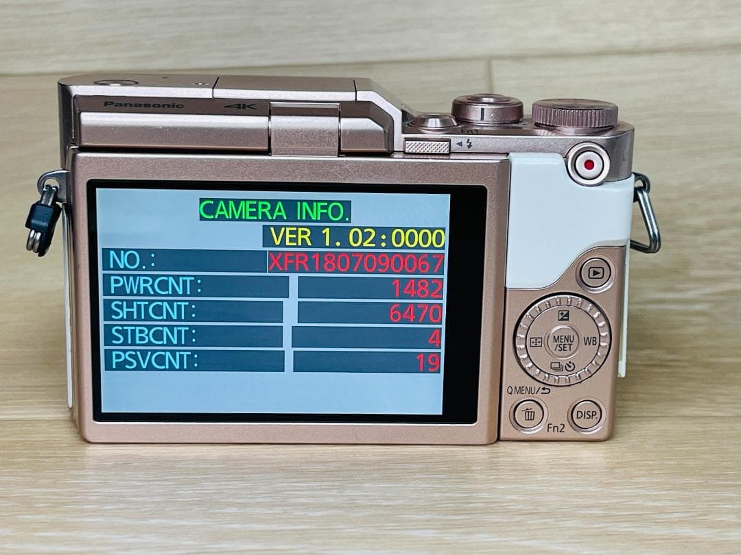 ショット数6470回 美品 Panasonic LUMIX DMC-GF10