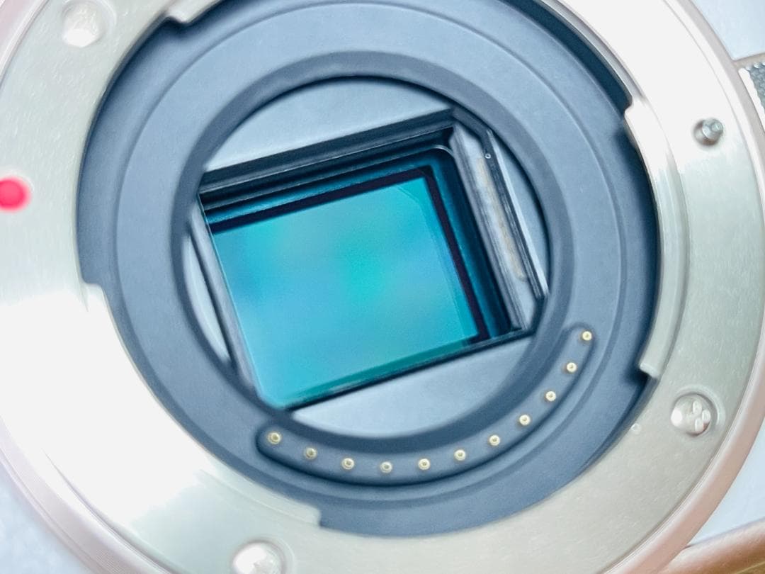 ショット数6470回 美品 Panasonic LUMIX DMC-GF10