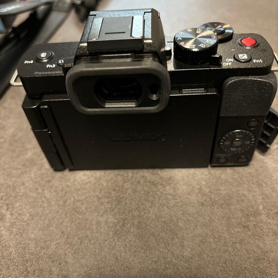 パナソニック　LUMIX DC-G100DV