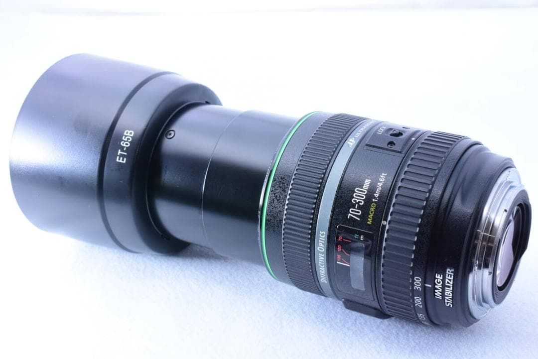 手振補正❄キヤノン EF 70-300mm F4.5-5.6 DO IS USM