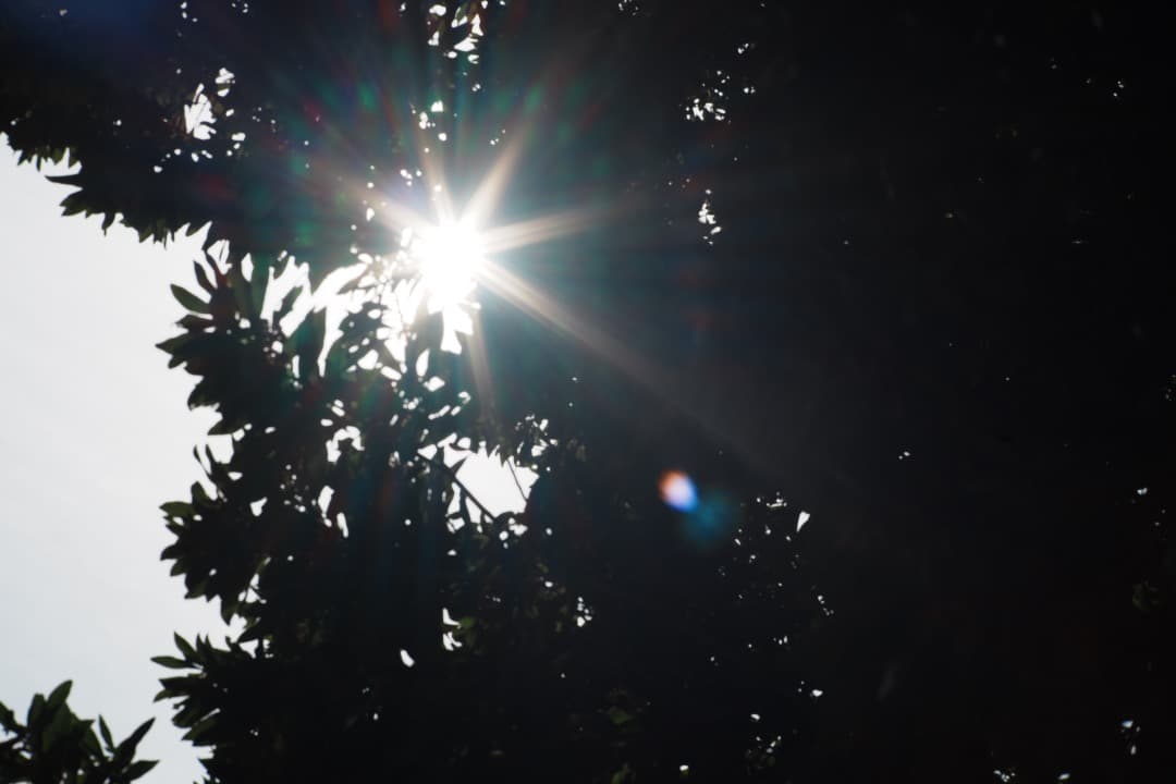 【極美品】Carl Zeiss Planar 85mm F1.4 MMJ 716