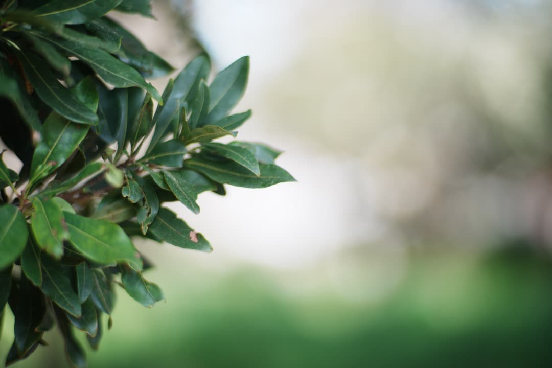 【極美品】Carl Zeiss Planar 85mm F1.4 MMJ 716